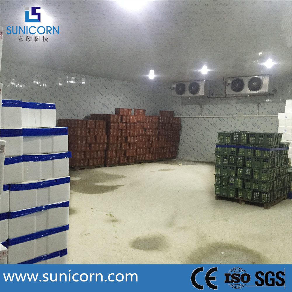 Buy cheap Blast Freezer Room Design Cold Storage Facilities For Fruits And Vegetables product