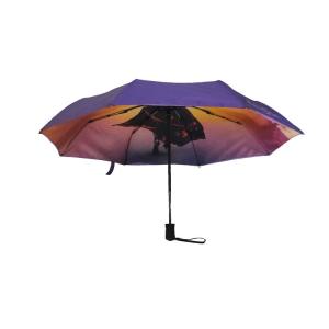Buy cheap Auto Open Double Layer 21"*8K Windproof Travel Umbrella product