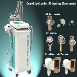 Buy cheap Cryolipolysis fat freeze slimming machine with 5 handles for body slimming treatment product