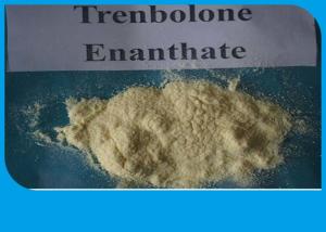 Test prop nandrolone phenylpropionate