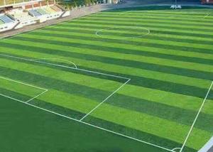 Buy cheap SBR Latex Backing 150 Stitches Football Field Artificial Turf product