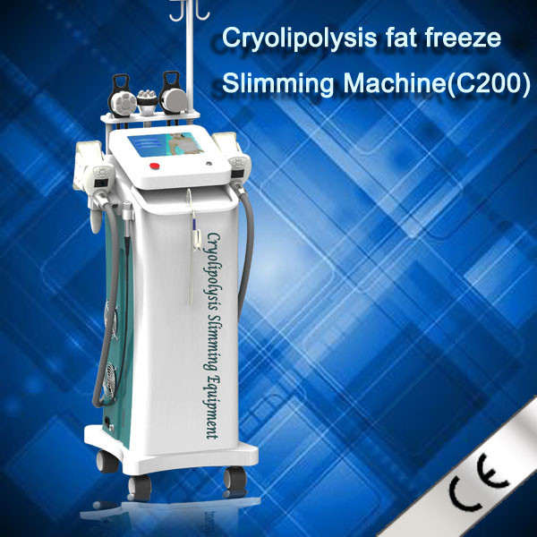 Buy cheap Newest Zelitq Cryolipolysis Fat Dissolved Machine With Cold Wave Cooltherapy Beauty product