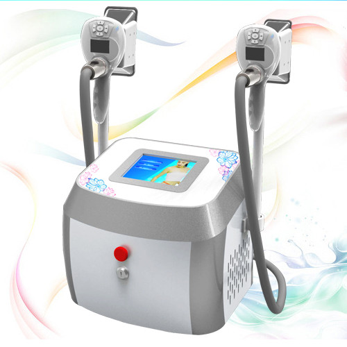 Buy cheap Favorites Compare 2014 Newest Professional Portable Cryolipolysis Slimming Machine product