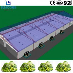 Buy cheap Modern Facility Modular Cold Rooms Cold Storage For Vegetables And Fruits product