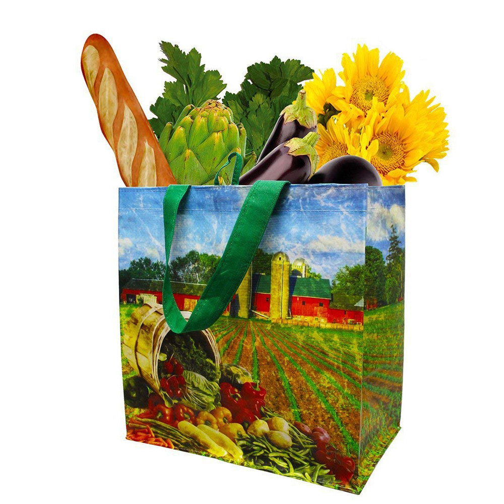 Buy cheap Picture Printed Recycled Shopping Bag , Pp Woven Tote Bag Customized Size product