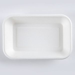 Sugarcane Pulp Biodegradable Disposable Tray Rectangular Dining Box
