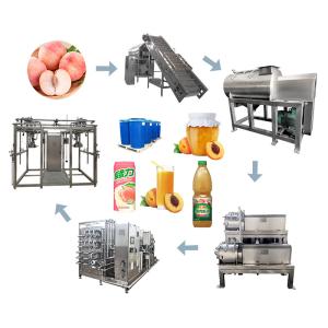 3tons/Day PLC Control Peach Apricot Fruit Processing Line