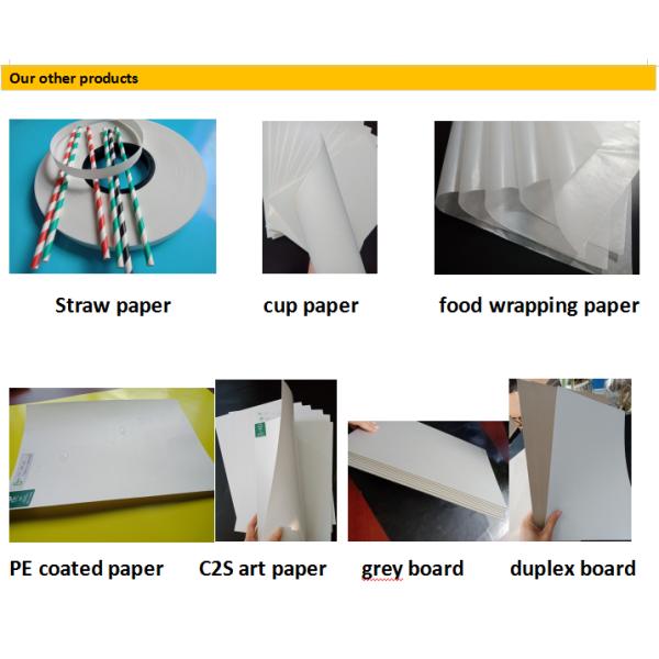 www.bmpaper.com