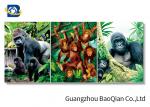 High Definition 3D Animation Picture Chimpanzee Pattern Flipped Wall Decorative
