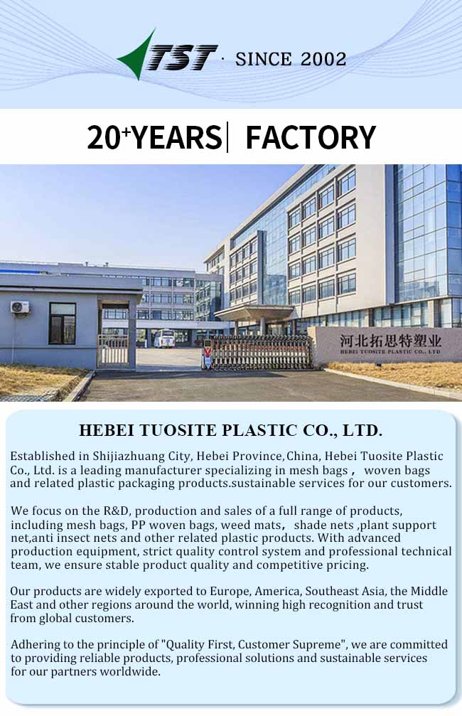 Laminated Woven Polypropylene Bag with Air Vent