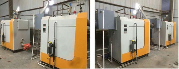 New type mini biomass steam boiler 500kg / 1000kg/hr steam boiler