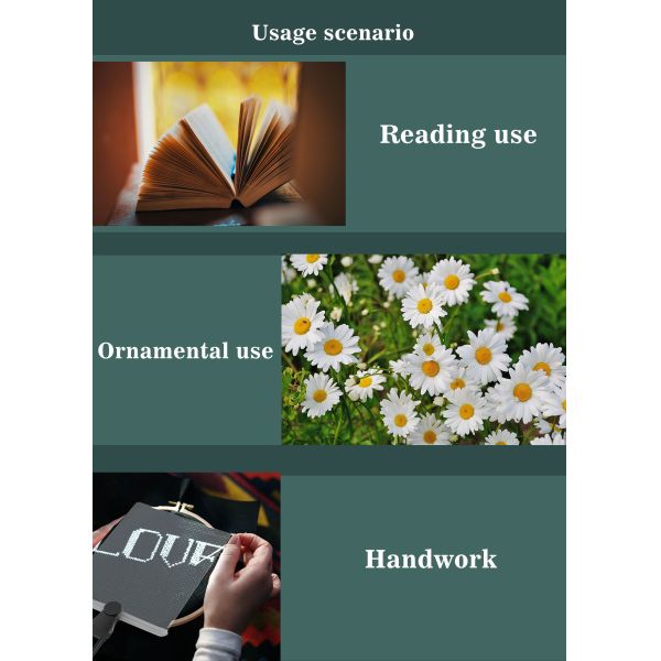 Easy Use Detachable Magnetic Horizontal Large Lens Magnifier Practical Tool for Elderly Reading