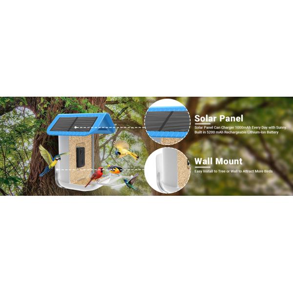 Smart Bird Feeder Squirrel Proof Camera with Solar Panel AI Identify Bird Species