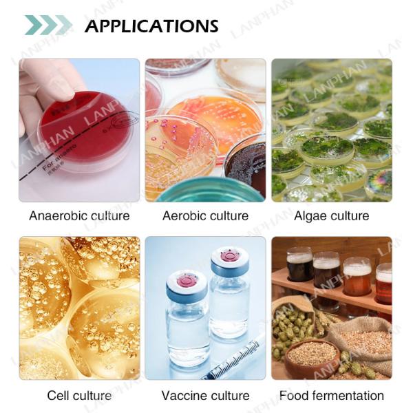 0.25L-15L Glass Bioreactor plant Bioreactor Laboratory Bioreactor Equipment For Cell Culture