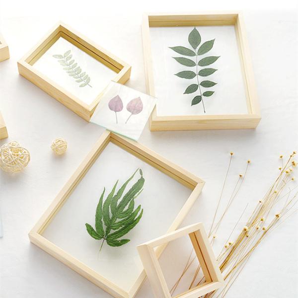 Creative Solid Wood and Acrylic Double-Sided Plant Specimen Transparent Frame Original Wood Color 3D Picture Frame Background Wall