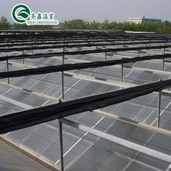 Boost Potato Harvest Large Plastic Pipes Multi-Span Agricultural Greenhouses