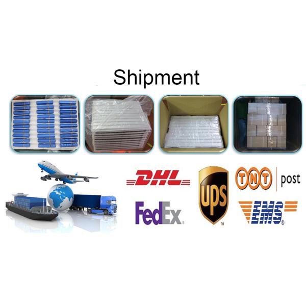 2ml 2.5ml 4ml 6ml Plastic Empty Custom Logo Nail Cuticle Oil Packaging Twist Pen With Brush Applicator