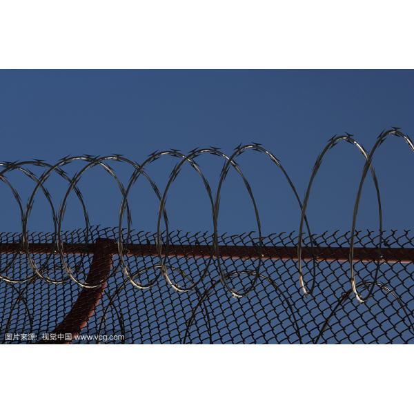 Security Protected Electric Razor Barbed Wire Welded Mesh Rolls For Fence