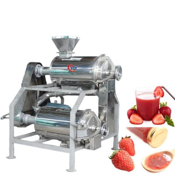 Complete Customized Strawberry Processing Line Blueberry/Strawberry/Raspberry Production Plant Strawberry Juice/Pulp/Jam Machine Sus304/316