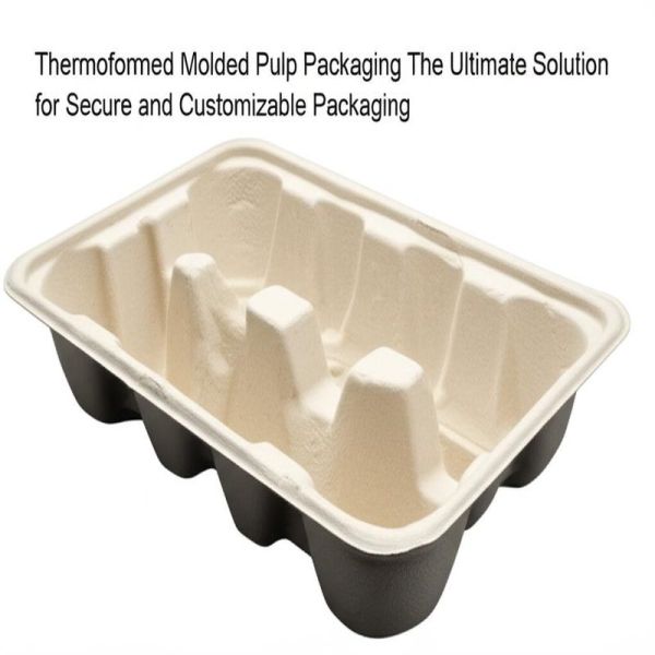 Thermoformed Molded Pulp Packaging The Ultimate Solution for Secure and