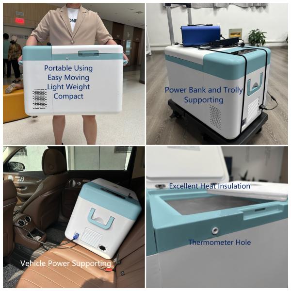 25L Capacity -86C Miniature Cryogenic Laboratory Freezer for Refrigeration Equipment