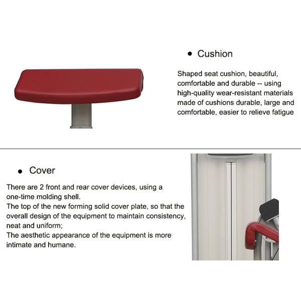 Professional Matrix Strength Training Equipment Gym Biceps Curl Machine