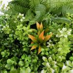 High Density PP Plastic Exterior Artificial Wall Grass Panel