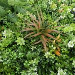 High Density PP Plastic Exterior Artificial Wall Grass Panel