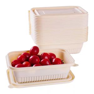 Buy cheap Takeout Fast Food Biodegradable Container Environmentally Friendly Bowls With Lid product