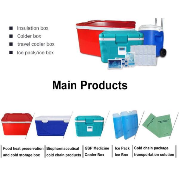 PU Rotomolding Insulation Refrigerator Plastic Incubator Cooler Box 32 Liters Portable