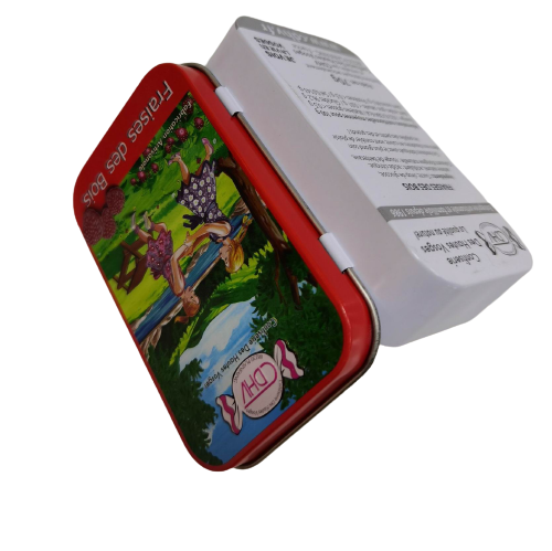 Rectangular Small Candy Tin Can Hinged Storage Tin ISO SMETA