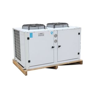 R134a Refrigeration Condensing Unit With Phase Reversal Protection