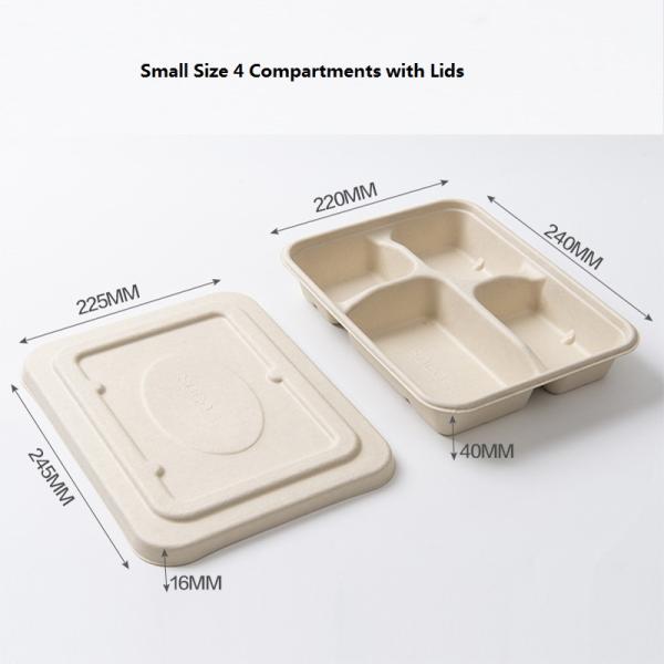 Sugarcane Pulp Lunch Takeaway Bento Box 4 5 Compartment Biodegradable Disposable