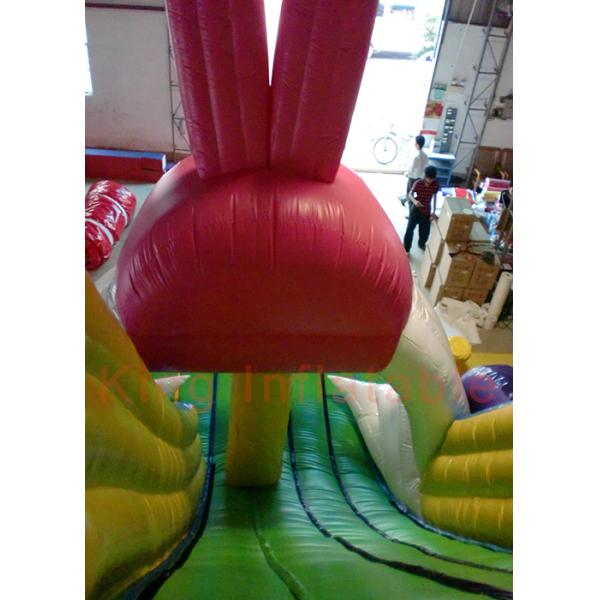 Playground Funny Inflatable Dry Slide , Outdoor Multicolor Inflatable Animals Slide