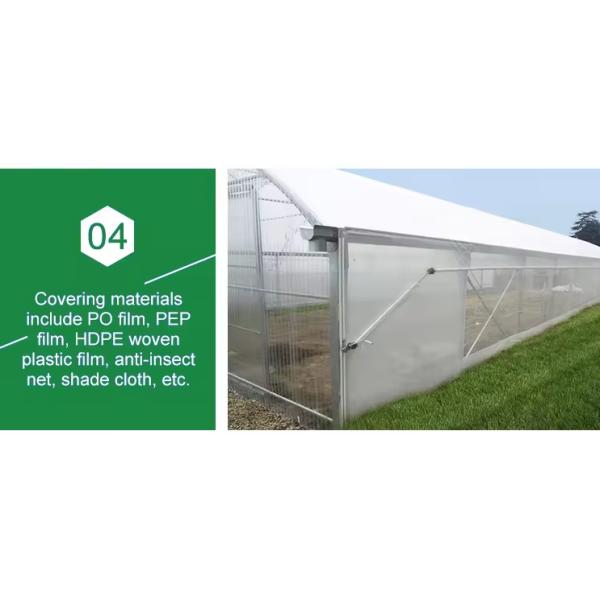 Multiple Span Plastic Greenhouse With Whole Systems