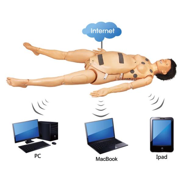 Import Material Comprehensive Obstetrics Model for School Training and Teaching