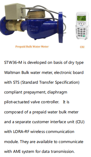 Smart Water Meter Featuring Multi Channel Data Acquisition and Cloud Integration for Advanced Water Consumption Insights