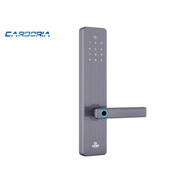 APP Control Smart Keyless Fingerprint Lock OEM / ODM Service Accepted