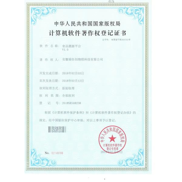 100*50mm EO Disinfection Injectable Pet Id Microchip