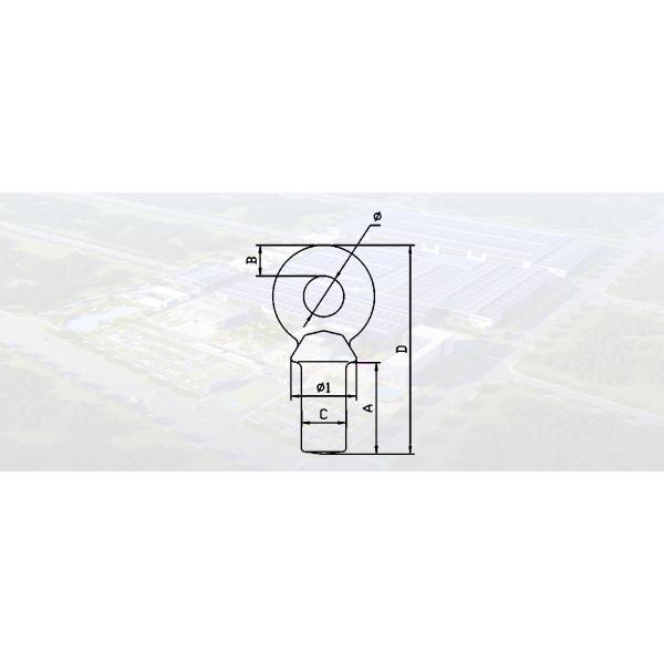 SLR244 - G80 NAV SPECIAL LIFTING EYE BOLT
