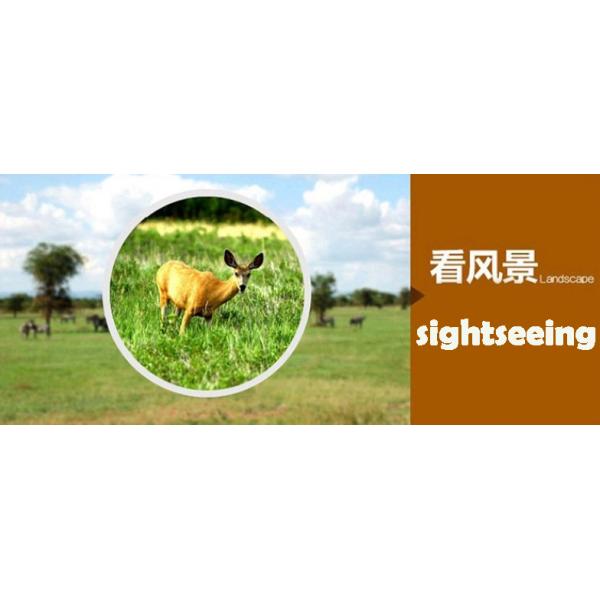 FORESEEN 8X40 Powerful Compact Binoculars Nitrogen Waterproof LLL Hunter Binoculars