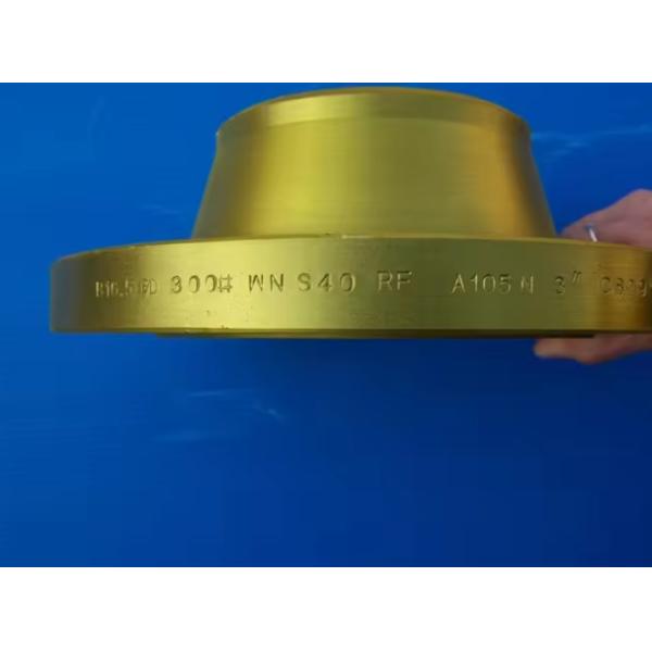 Customizable P250GH Forged Flange for High Pressure Applications - Welding Neck Flange
