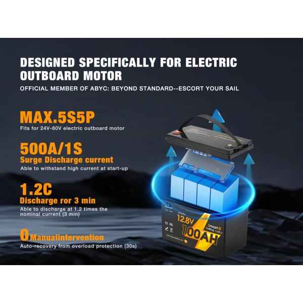 Deep Cycle Lifepo4 Lithium Ion Battery