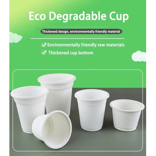 16oz PLA Cornstarch Bio Take Out Coffee Cups Beverage Starbucks Hot Beverage Cups