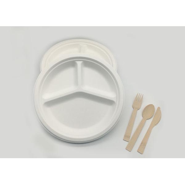 9 Inch 16g 100% Biodegradable Sugarcane Bagasse Plates
