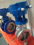 CF8 Stainless Steel Worm Gear Eccentric Butterfly Valve, Metal Seal Flange Type