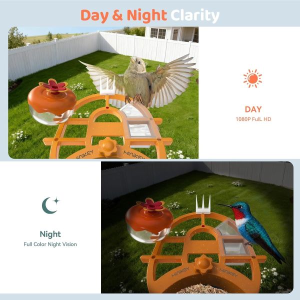Iron Smart Bird Feeder close-up details