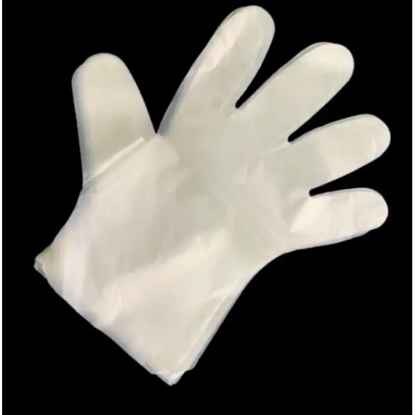 100% Biodegradable Transparent Disposable Waterproof Household Compostable Gloves Food Grade for Food Safety