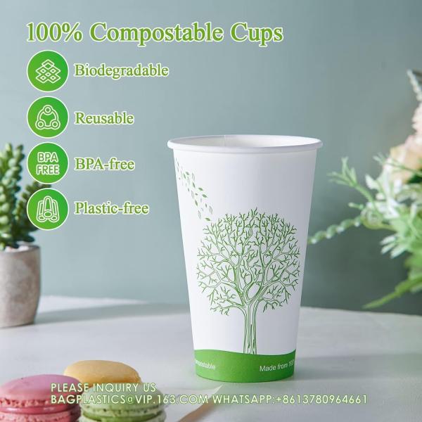 16 Oz Compostable Cups, Biodegradable Disposable Paper Cups With PLA Lined, Eco-Friendly Paper Coffee Cups For Party