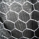 Hexagonal wire netting /chicken wire/ hexagonal wire mesh Cheap Electro